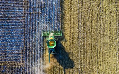 majs och sojabönor I USA ställs många bönder inför ett val varje år när det kommer till planteringssäsongen. De kan plantera sojabönor eller majs. Det amerikanska etanolmandatet har stött majsproduktionen i flera år, men bönder strävar alltid efter att maximera sin avkastning. De tenderar att plantera den gröda som kommer att skapa det bästa ekonomiska resultatet.